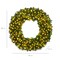Best Choice Products Artificial Pre-Lit Fir Christmas Wreath Decoration w/ LED Lights, Power Plug-In